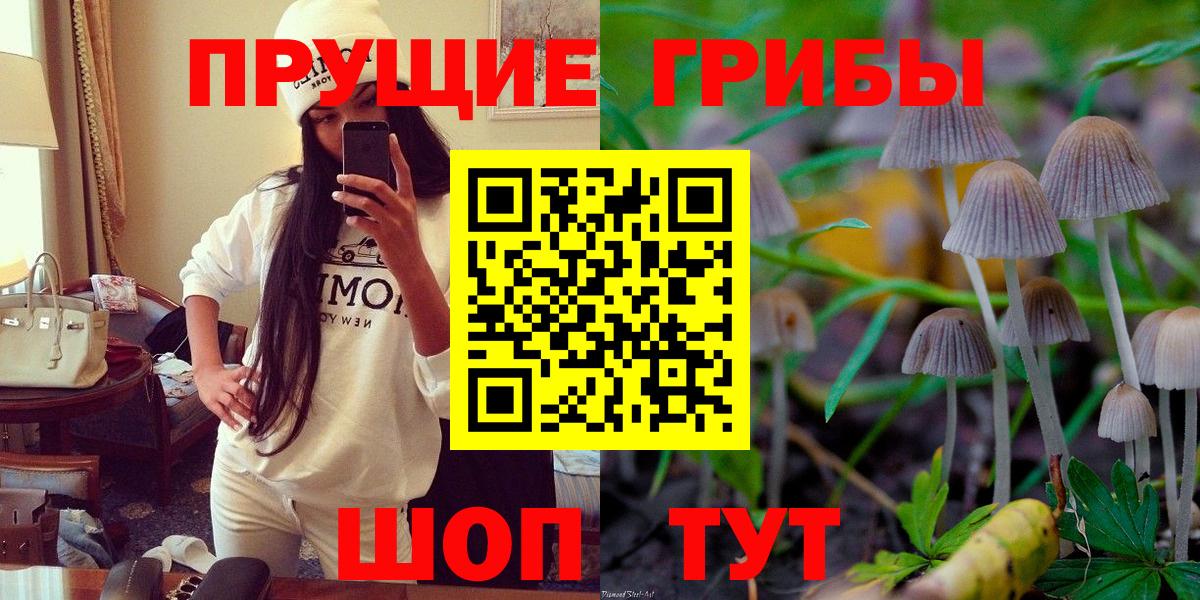 Псилоцибиновые грибы прущие грибы  Вход с VPN  Отрадное 