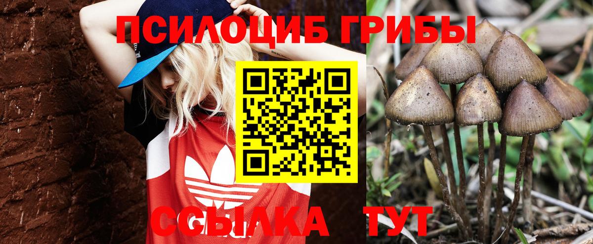 Канабис  Гашиш  Вход с VPN  Отрадное  Сколько стоит  Меф   Cocaine 