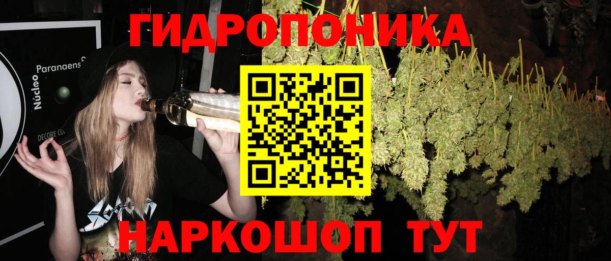 Бошки марихуана Bruce Banner Отрадное
